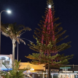LIGHTING OF THE TREE